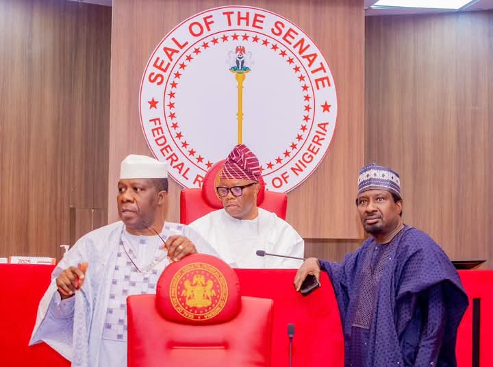 Just In: Nigerian Senate Appoints Chairmen And Deputies For Regional Development Commissions.