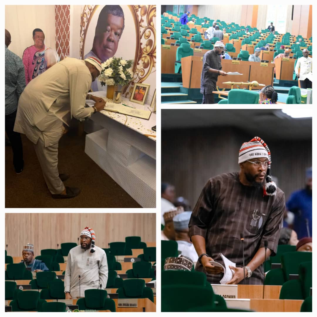 HON. IBE OKWARA OSWONWA RECAPS AN EVENTFUL WEEK AT THE NATIONAL ASSEMBLY