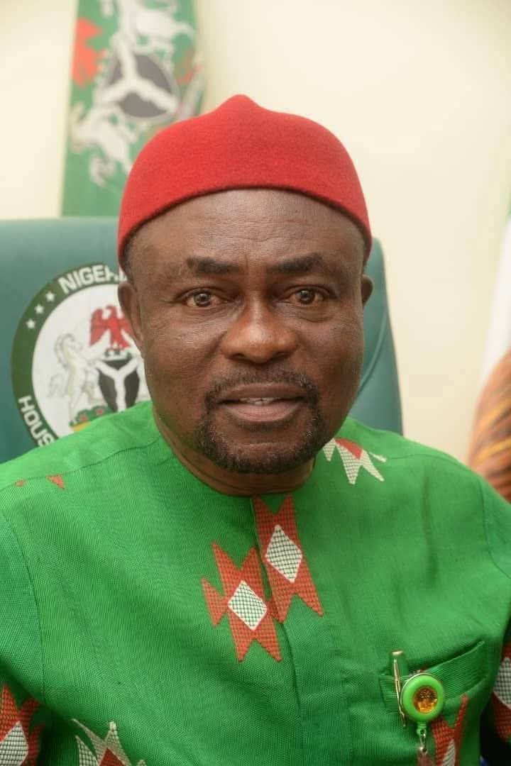 DEAR HON. CHRIS NKWONTA, QUESTIONS RAISED IN THE PUBLIC INTEREST DO NOT CONSTITUTE DEFAMATORY INNUENDO: A CALL TO STOP THE VICTIMIZATION OF COMRADE UGWUMBA ADIELE