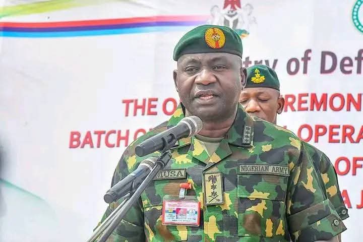 Jilli Airstrike: Supporters Of Terrorists Will Be Treated As Bandits, Defence Minister Warns